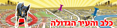 צילום: אורי תאר, index open