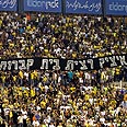 צילום: אלי אלגרט