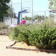 הגדר שפונה אל רחוב לכיש צילום: אוהד צויגנברג