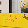 צילום: ירון ברנר