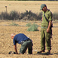 צילום: רונית מינקר