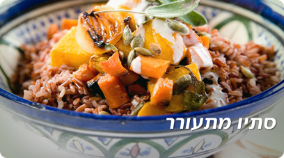 צילום: יוסי סליס