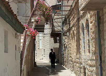 תוצאת תמונה עבור נחלאות