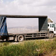 צילום: תמי נוטסני
