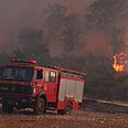 שריפה יערות הכרמל עוספייה כרמל (צילום: אבישג שאר-ישוב)