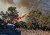 צילום: AFP