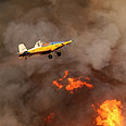 שריפה אסון כרמל (צילום: AFP)