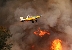 צילום: AFP