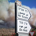 עין הוד ניר עציון עולה באש שריפה שריפות אסון הכרמל (צילום: עדי סרדס)