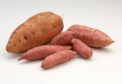 ×ª××¦××ª ×ª××× × ×¢×××¨ ×××××ª