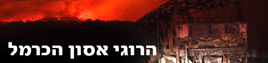 צילום: אבישג שאר-ישוב