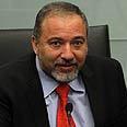צילום: גיל יוחנן 