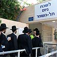 צילום: עופר עמרם 