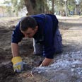 קסאם קסם קיבוץ זיקים (צילום: צפריר אביוב)