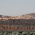 צילום: שלום עכשיו