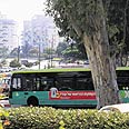 צילום: צפריר אביוב