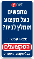 בעלי מקצוע