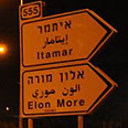 צילום: גור דותן