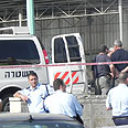צילום: עידן אברהם