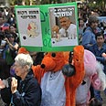 צילום: ירון ברנר