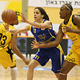 צילום: יועד כהן