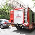 צילום: עופר עמרם
