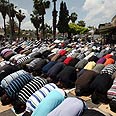 צילום: גיל יוחנן