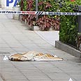 צילום: רויטרס