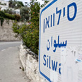 צילום: נועם מושקוביץ