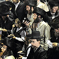 צילום: אפי שריר 