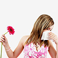 צילום: shutterstock