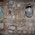 צילום: גיל יוחנן