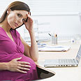 צילום: shutterstock