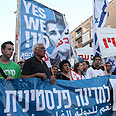 צילום: עופר עמרם