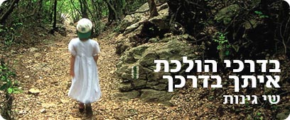 צילום: שי גינות