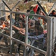 צילום: AP