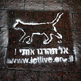 אחת מכתובות המחאה שרוססו ברחבי תל-אביב צילום: עופר עמרם