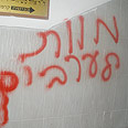 צילום: שחאדה אבו שחאדה