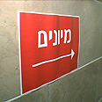 צילום: עילי קמחי צילום: עילי קמחי