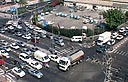 צילום: שי רוזנצוויג