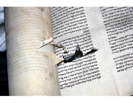 צילום: בועז ארד