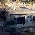 צילום: דודי ועקנין