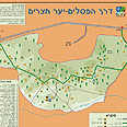 דרך הפסלים יער חצרים מפה ארכיון צילומי קק"ל