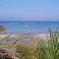 כנרת בצורת מים משבר מפלס התייבשות (באדיבות החברה להגנת הטבע)