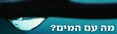 צילום: ויז'ואל/פוטוס