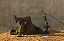 צילום: AP
