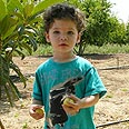 רוצה שתצילו את חייו. דן-דן נבו 
