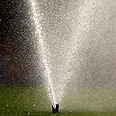  צילום: gettyimages imagebank