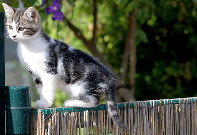 ×ª××¦××ª ×ª××× × ×¢×××¨ ××××× ×××ª×××× ×¨×××