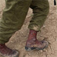 צילום:  מוטי קמחי